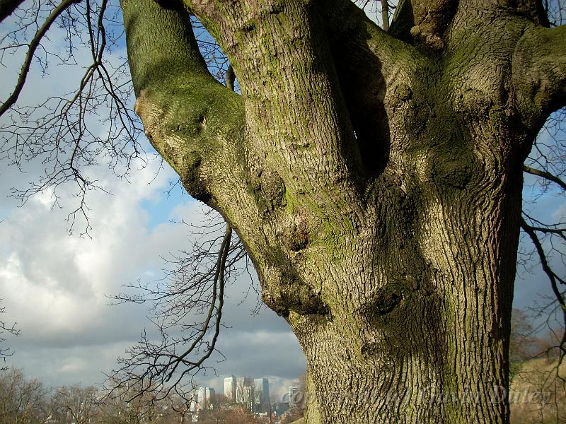 Greenwich Park DSCN0903.JPG -           